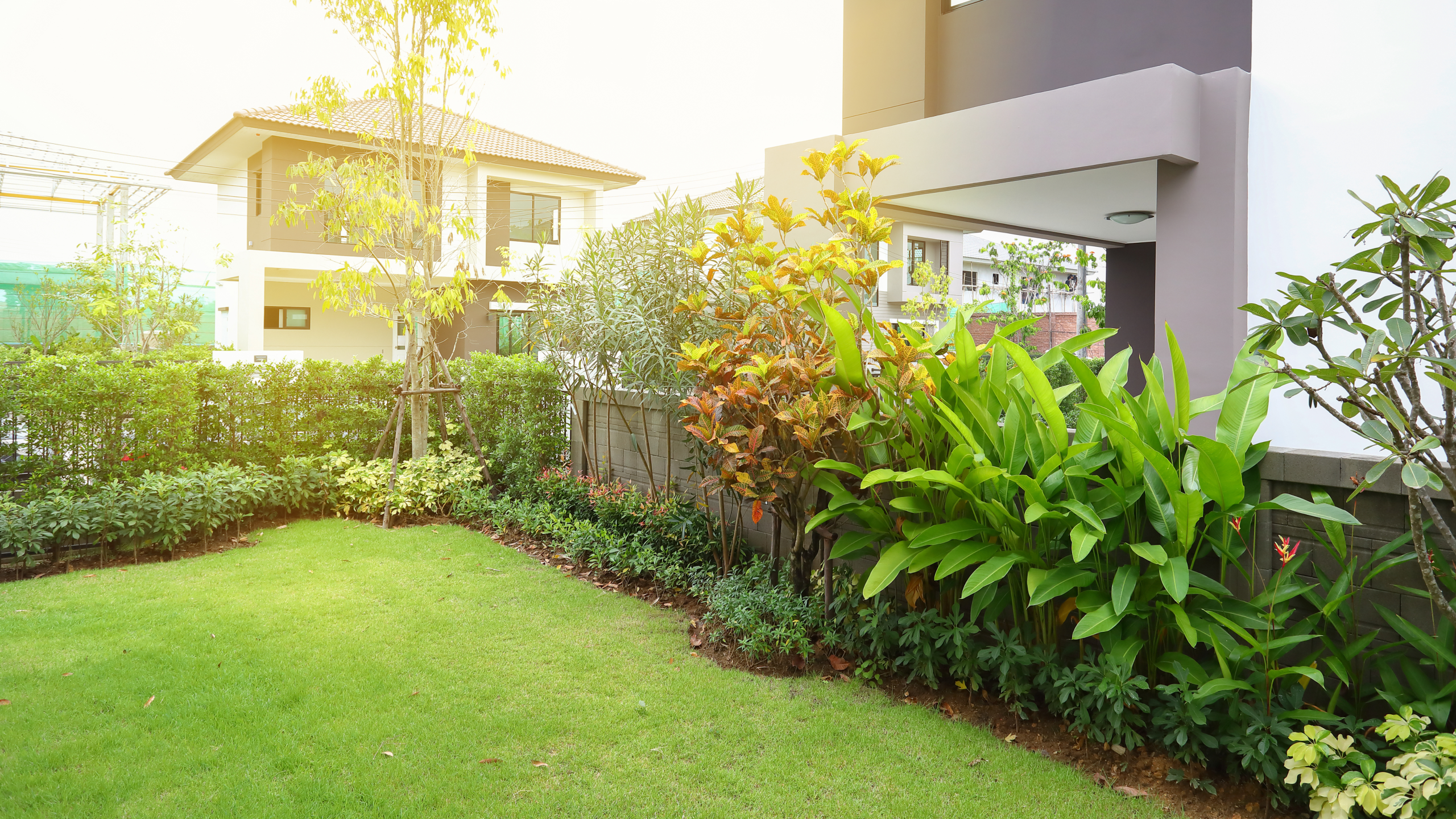 Ideias para montar um jardim na sua casa