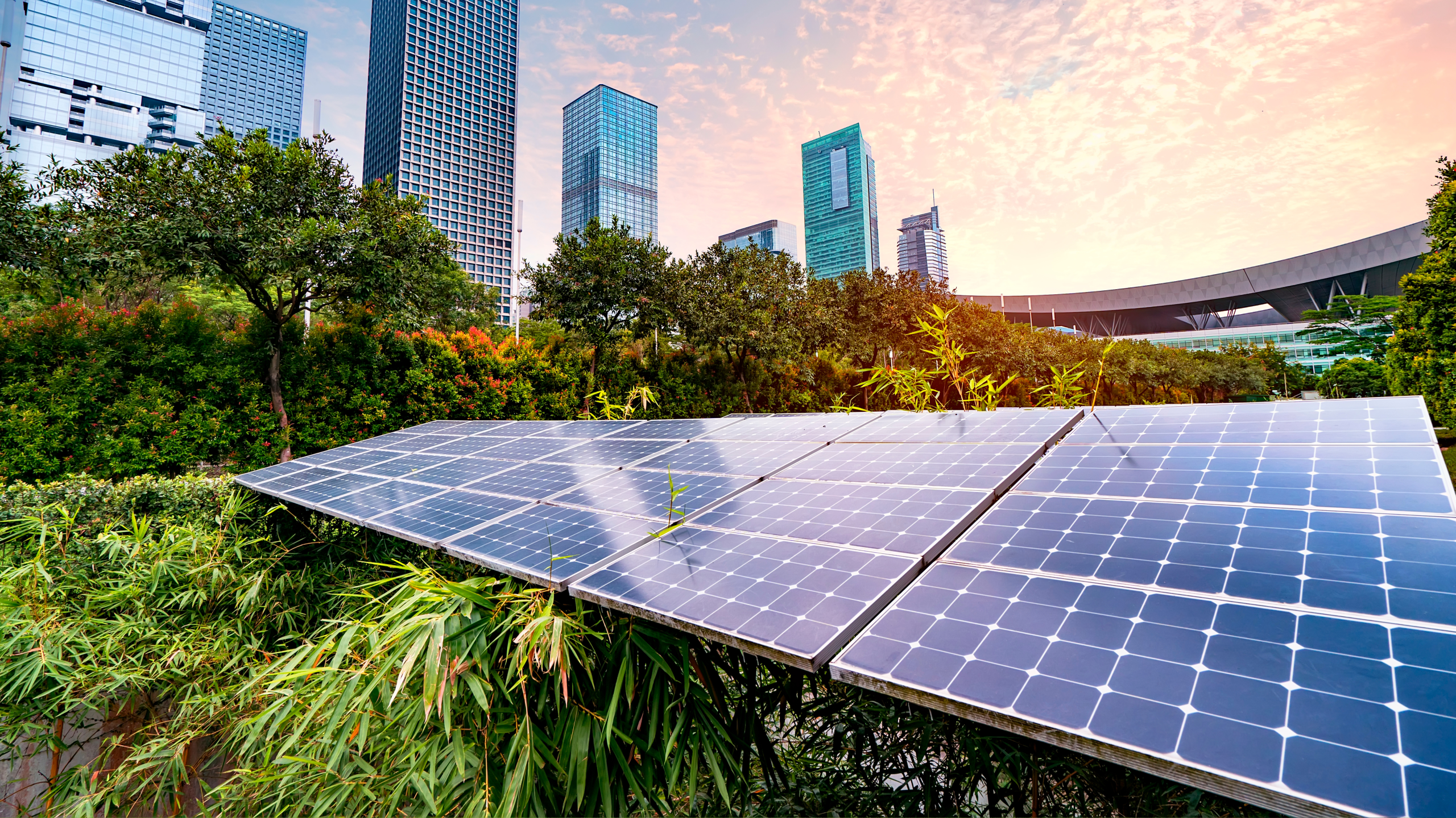 Reforma Ecológica: Como Tornar Sua Casa Mais Sustentável